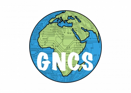 Global Network Consulting & Services